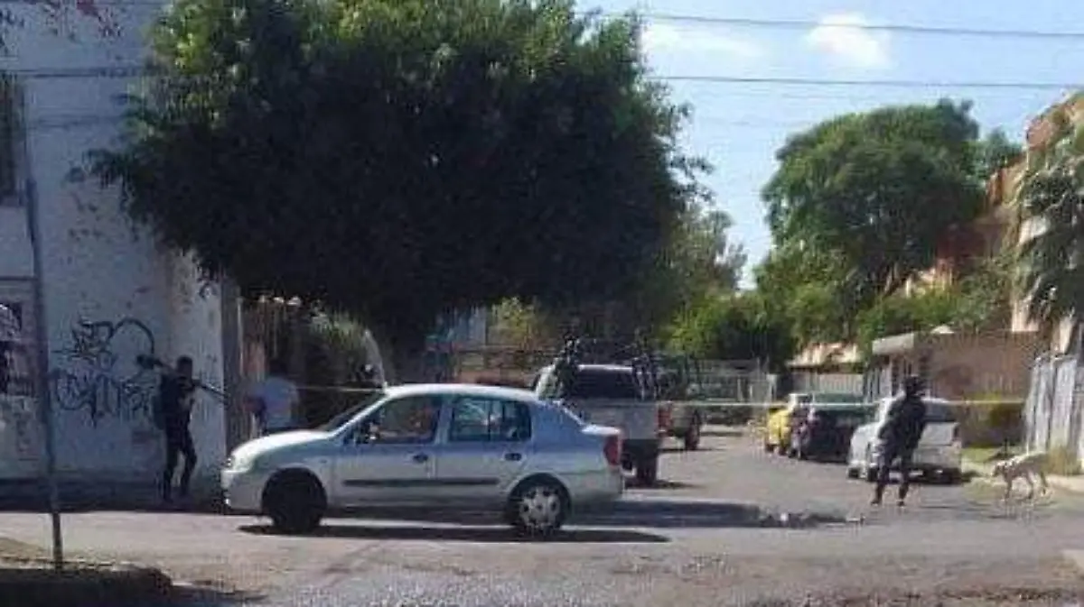 ataque depa pinos ok
